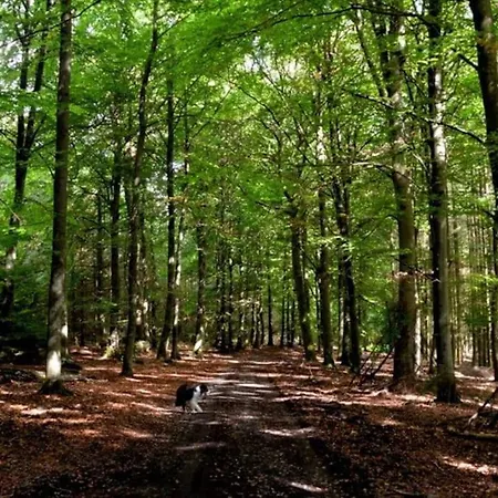 Vakantiehuis Champetre Al Werihe